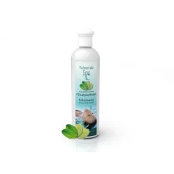 Parfum De Spa à Base D'huiles Essentielles D'Eucalyptus Et Menthe 250 Ml -Bestway Magasin parfum spa huiles essentielles eucalyptus menthe camylle 250 ml 2